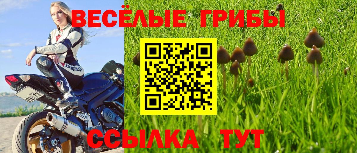 Подольск  Псилоцибиновые грибы GOLDEN TEACHER  наркошоп  Вход с VPN 